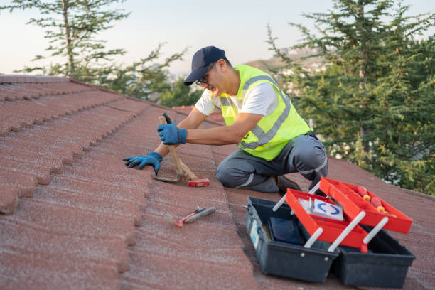 Best Roof Gutter Cleaning  in Onset, MA